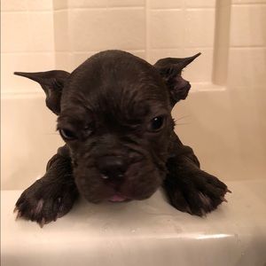 Meet your Posher, Kolton